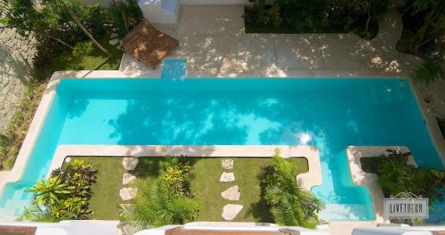 LiveTulum – Tulum, TX