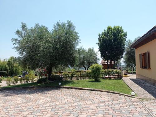Villa Roberto - Accommodation - Monte San Vito
