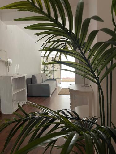 IRUA APARTAMENTOS Room Type - Studio Apartment