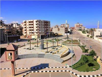 شمال سيناء . العريش . الزهور