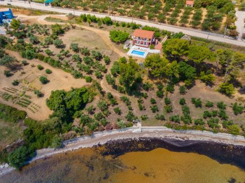 Villa Ostria - image 12