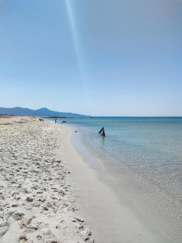 Beach, Tiba soliman plage in Nabeul