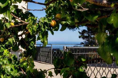 Villa Panoramica sul Mare