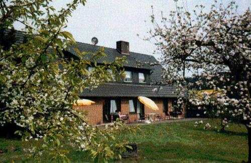 Bachlauf in Nahrendorf