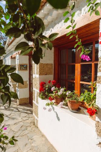Casa Rural Arona - image 12