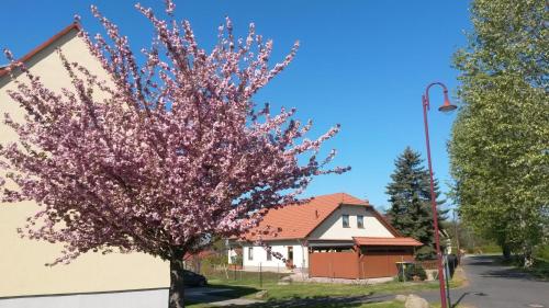 Ferienwohnung Störmthaler See - Apartment - Großpösna