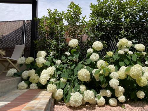 Borgata Cantone Country House B&B - image 7