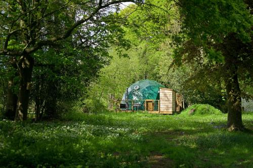 zahrada, Hever Luxury Dome in Chiddingstone
