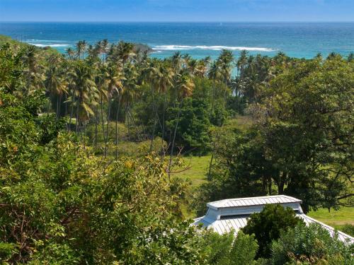 369585086 Firefly Estate Bequia