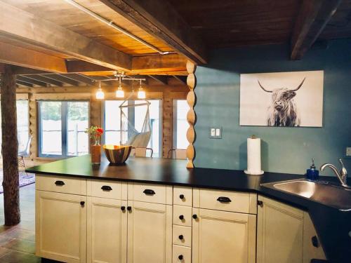 Bear Cottage in บุชคิล (พีเอ)