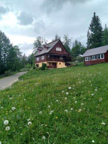 Casa din Poiană (Casa din Poiana) in Hănășești