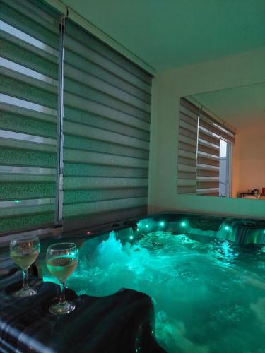 . Spa apartman Iva
