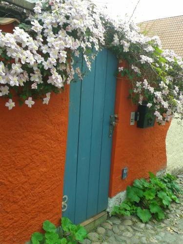 Klosterhäuschen in Stralsund, Stralsund (fotografie 3)