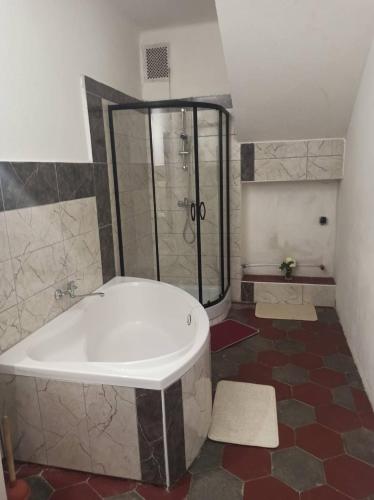 Fürdőszoba, Apartmán Měňany (Apartman Menany) in Srbsko