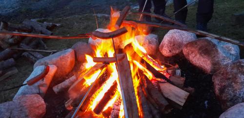 Wathne Camping - image 3