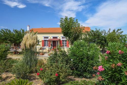 A modern alternative farmhouse in Lemnos gîte à louer Égée-Septentrionale