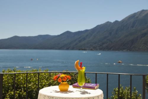 Vistas, Hotel Tamaro in Ascona