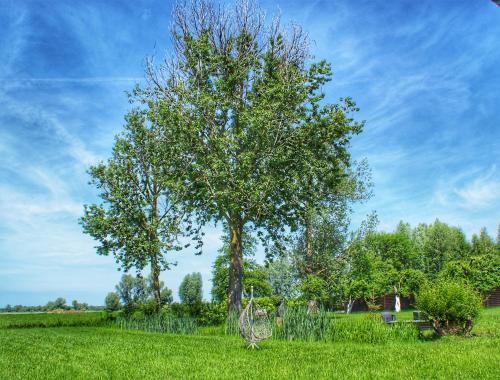 "Dolina" na Żuławach ("Dolina" na Zulawach) in Paslek