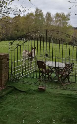 Durham Donkey Rescue Shepherd's Hut