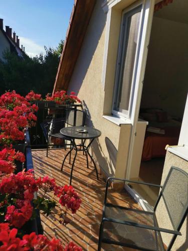 Balcony/terrace, Harmonia Panzio in Sarospatak