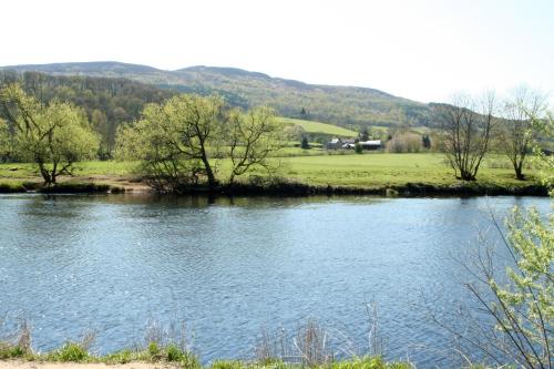 Logierait Pine Lodges - image 14