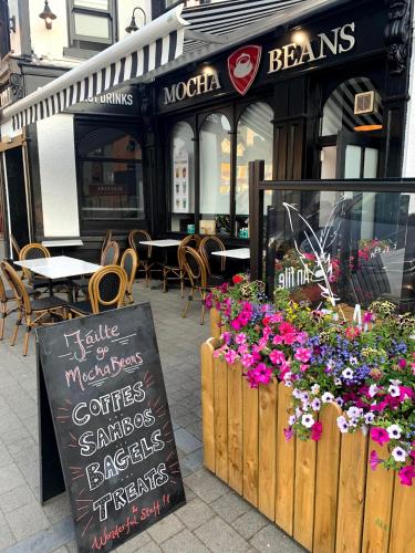 Mocha Beans Westport in 西港