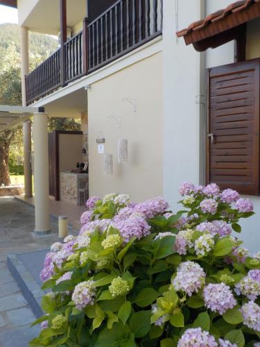  Maria Apartments in Potamia
