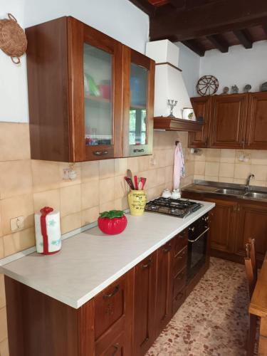 virtuve, CASOLARE TROMBACCO in Vergemoli