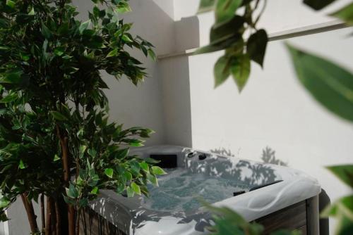 Mini hotel in the heart of Sevilla for exclusive usage, Siviglia (foto 7)
