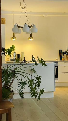 ApartmentInCopenhagen Apartment 1499, Kodaň (fotografie 6)