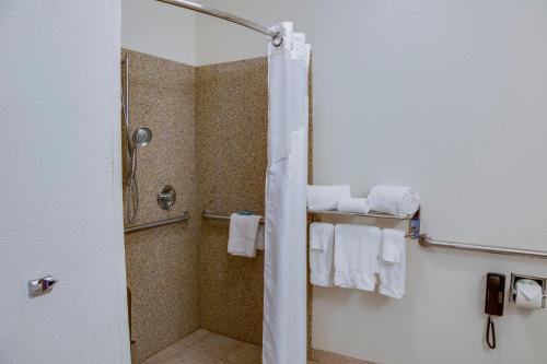 Bathroom, Holiday Inn Express & Suites Jacksonville in Jacksonville (IL)