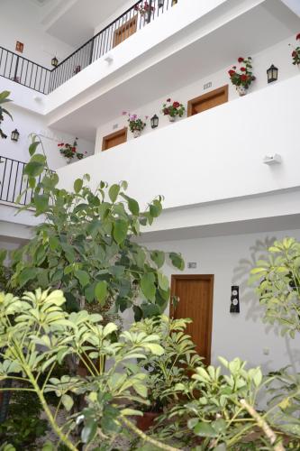 Hotel Oasis Atalaya - image 4
