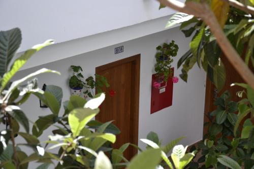 Hotel Oasis Atalaya - image 12