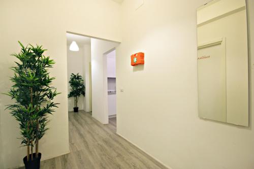Le Piazze Di Roma - image 6