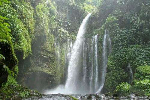 Tiu Kelep Homestay in Senaru
