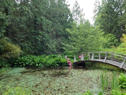 Monet's Pond by the Sea