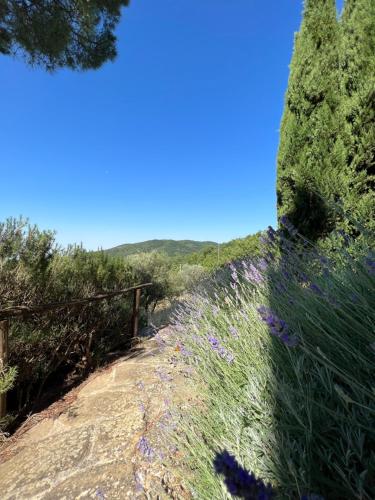 COPPA DI SOPRA - Beautiful villa with superb view