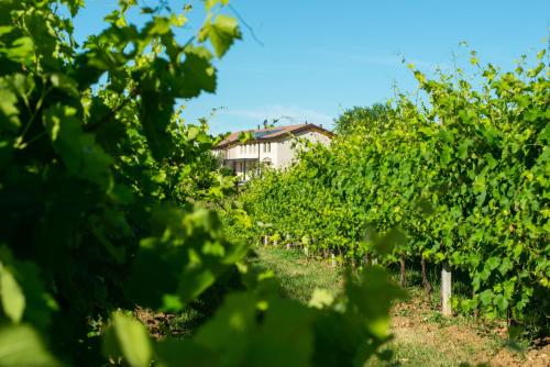 Relais La Dolce Vite