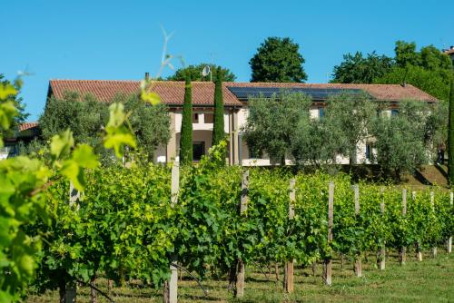 Relais La Dolce Vite