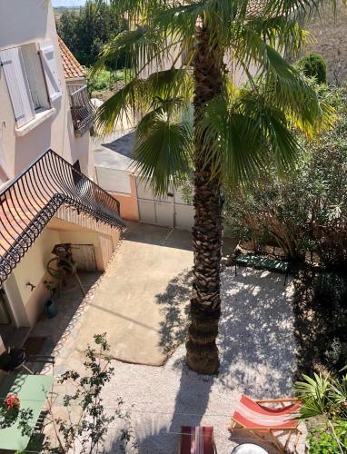 Gîte Le Palmier - Perfectly located cosy studio with private garden