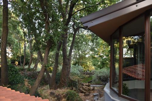 Le Querce Dell'Etna B&B