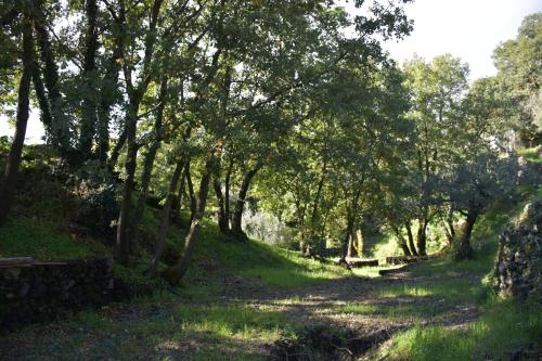 Le Querce Dell'Etna B&B