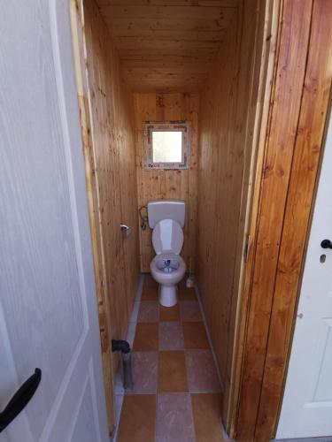 Cabana Ocna Mesaros - image 11
