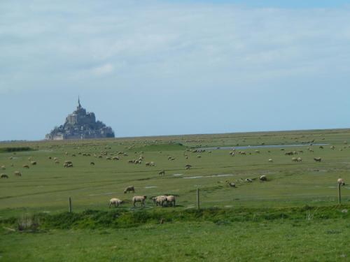 Les Pres-Salés – Courtils, IA