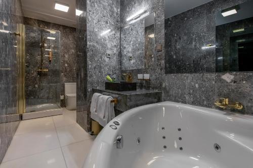 دش, St.Palace hotel in فيلنيوس