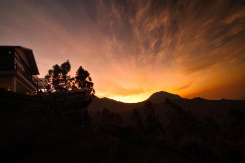 Chandys Drizzle Drops - Munnar Top Station