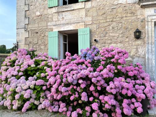 La Maison d’Hortense et Lili chambre d'hôte Michèle Duranteau