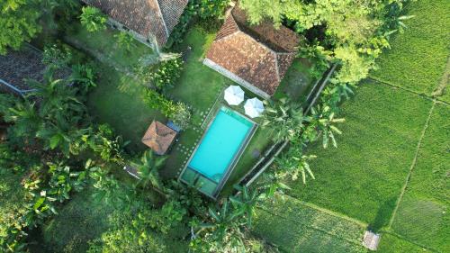 Blue Garden Jogja