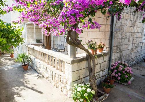  Apartments Bungevilla, Pension in Dubrovnik