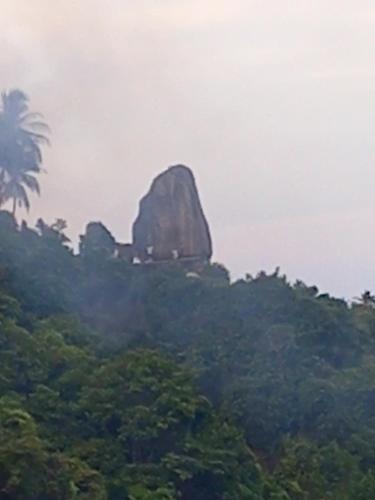 CocoMongo